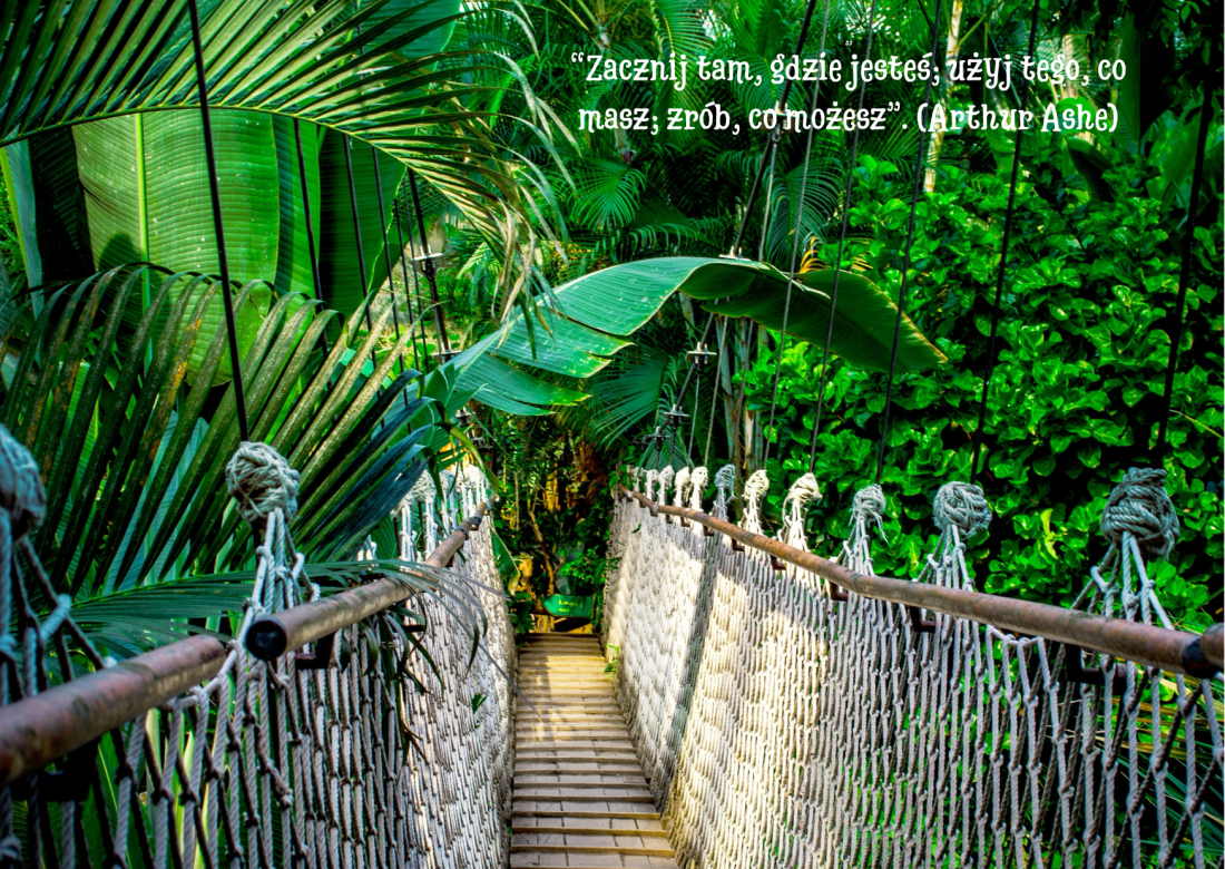 Droga do zmiany - Psychoterapeuta Katarzyna Gabiga Piaseczno